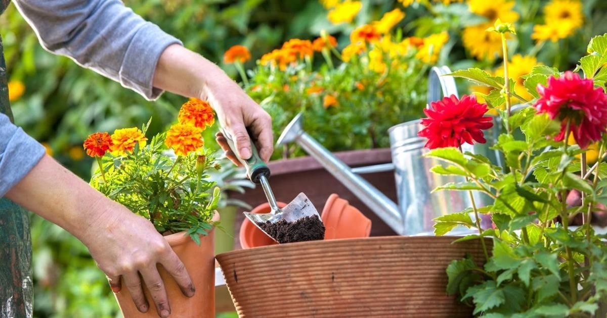رژیم لاغری چهل روزه