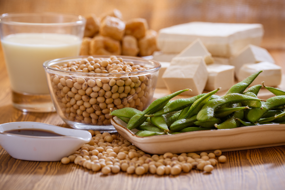 خواص پروتئین سویا؛ چرا این پروتئین گیاهی محبوب شده است؟