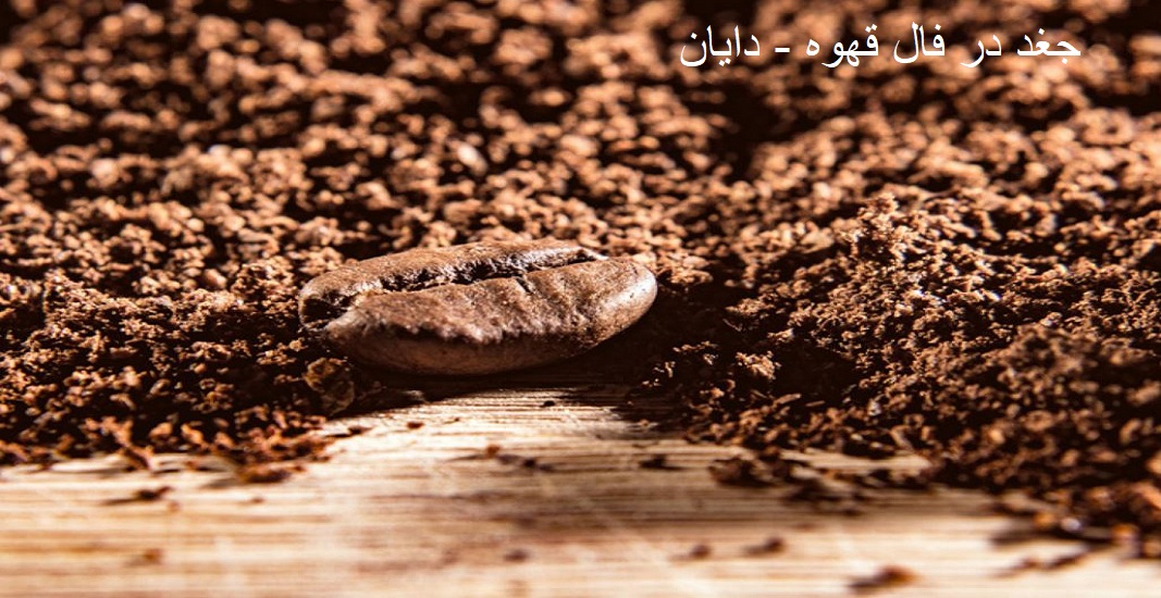 جغد در فال قهوه جغد در فال قهوه