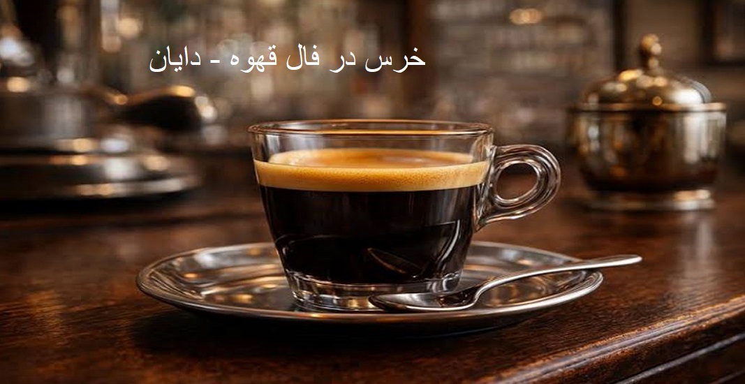 خرس در فال قهوه