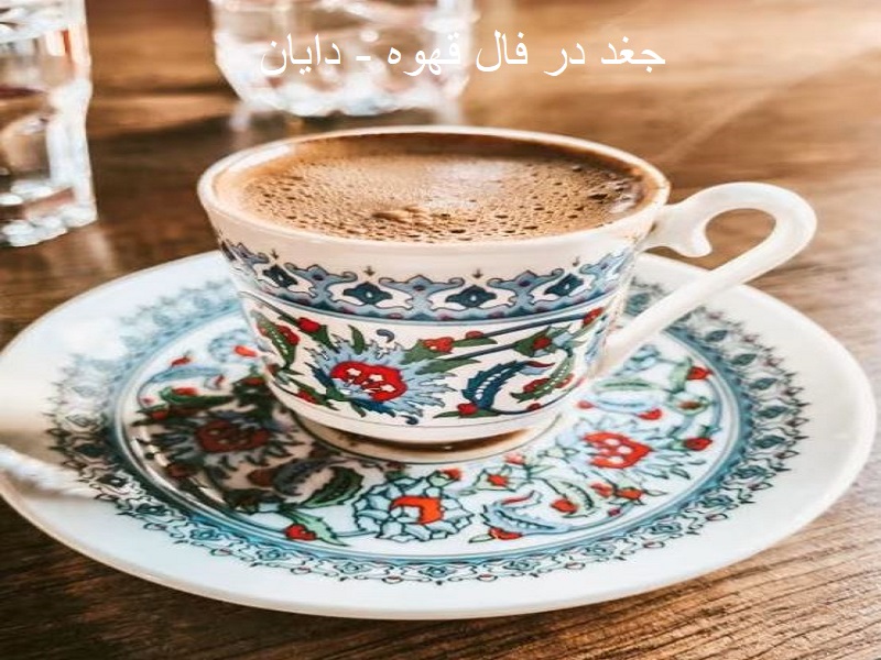 جغد در فال قهوه جغد در فال قهوه