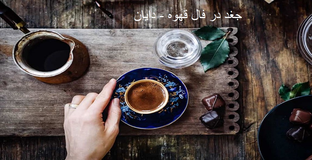 جغد در فال قهوه جغد در فال قهوه