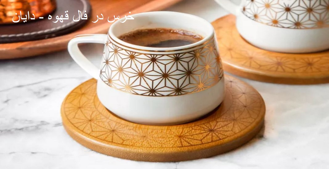 خرس در فال قهوه
