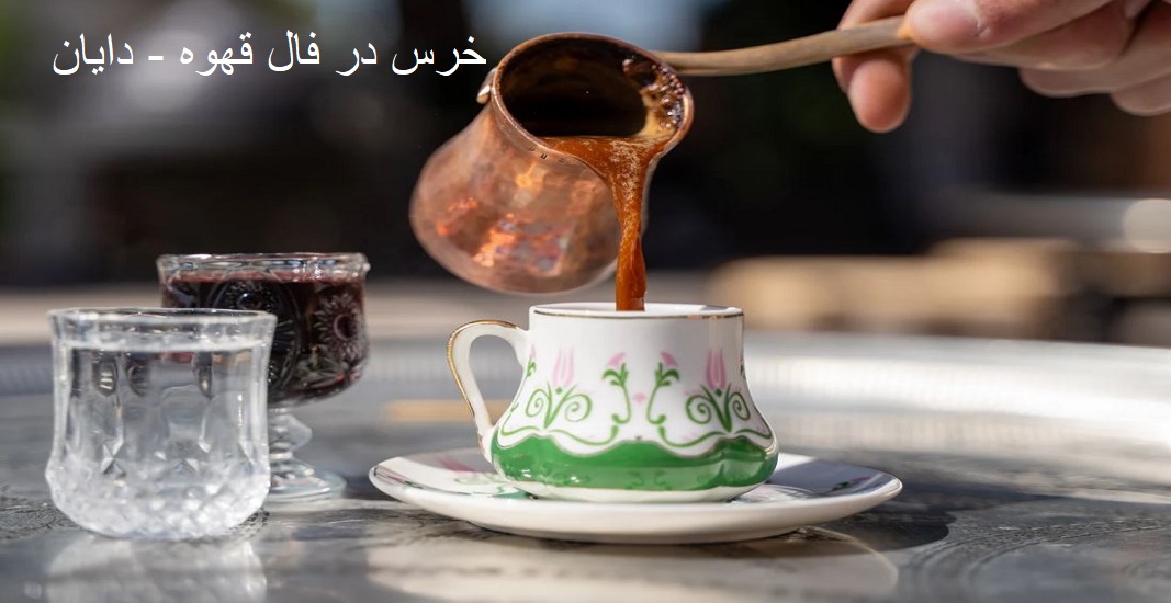 خرس در فال قهوه
