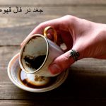 جغد در فال قهوه