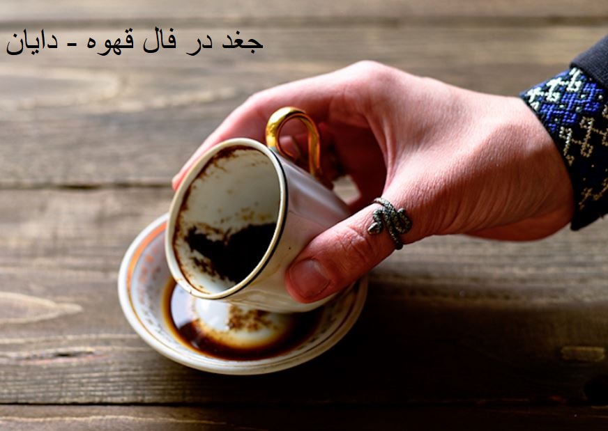 جغد در فال قهوه