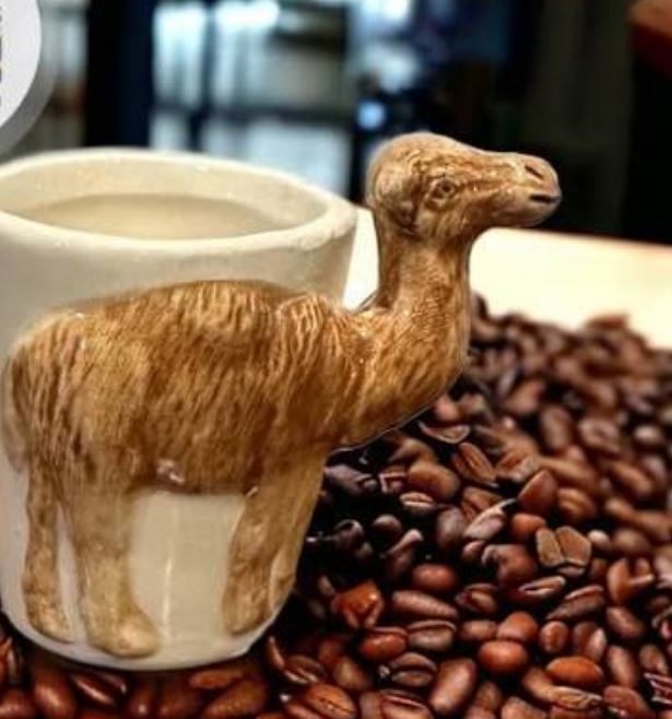 شتر در فال قهوه