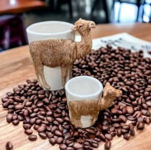 شتر در فال قهوه