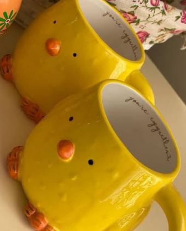 فال قهوه جوجه