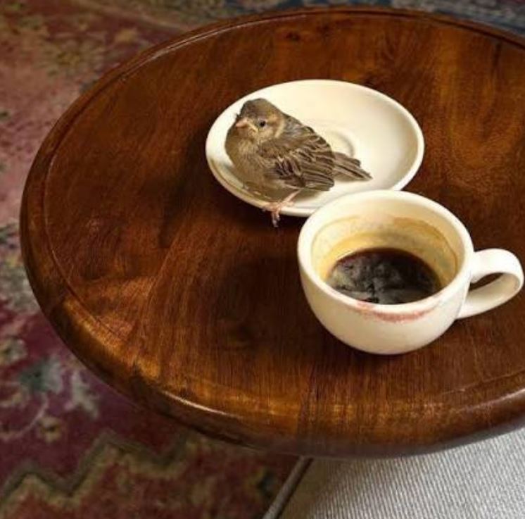گنجشک در فال قهوه