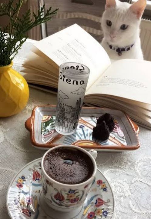گربه در فال قهوه