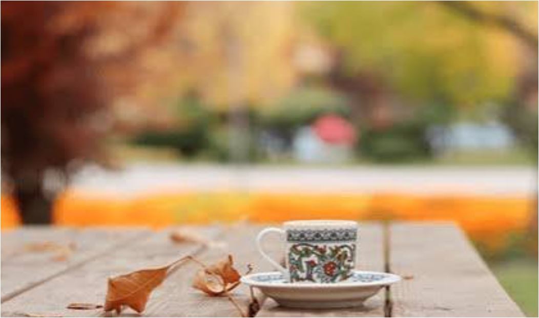 تعبیر برگ گشنیز در فال قهوه برگ در فال قهوه در ته فنجان