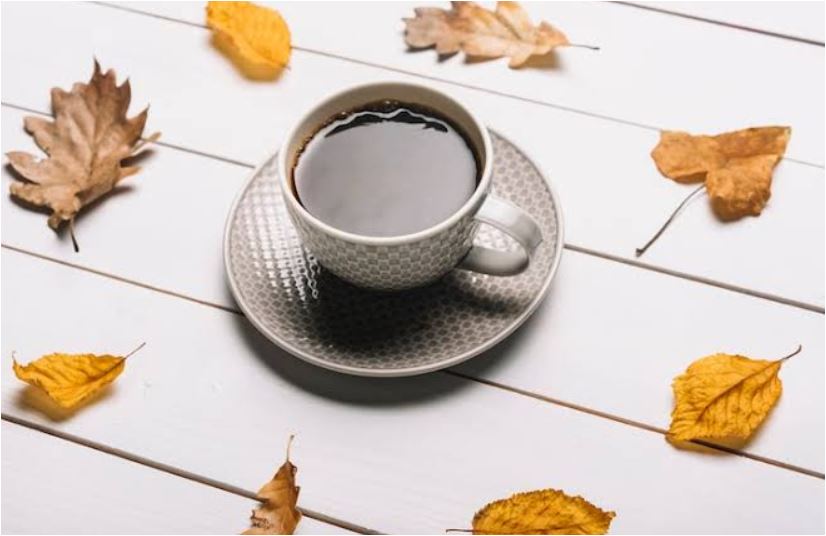تعبیر برگ مو یا برگ انگور در فال قهوه 