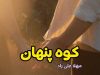 معرفی رمان کوه پنهان اثر مهلا علی راد