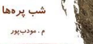 معرفی رمان شب پره ها اثر م. مودب پور