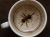 مورچه در فال قهوه