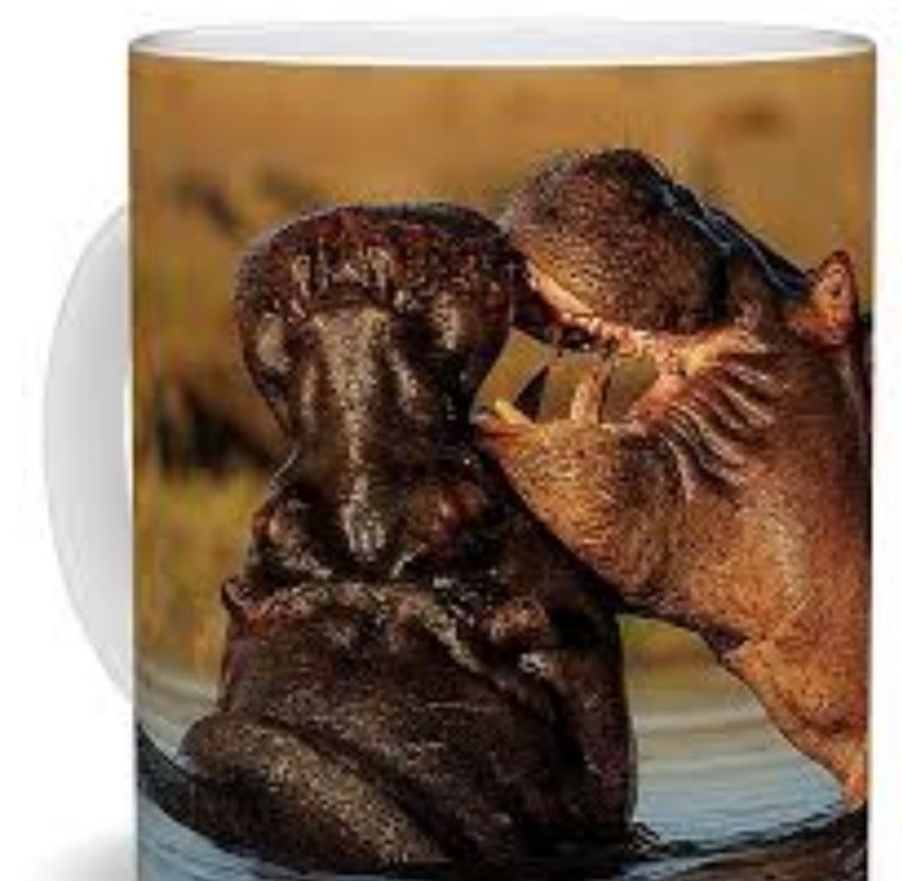 اسب آبی در نعلبکی فال قهوه