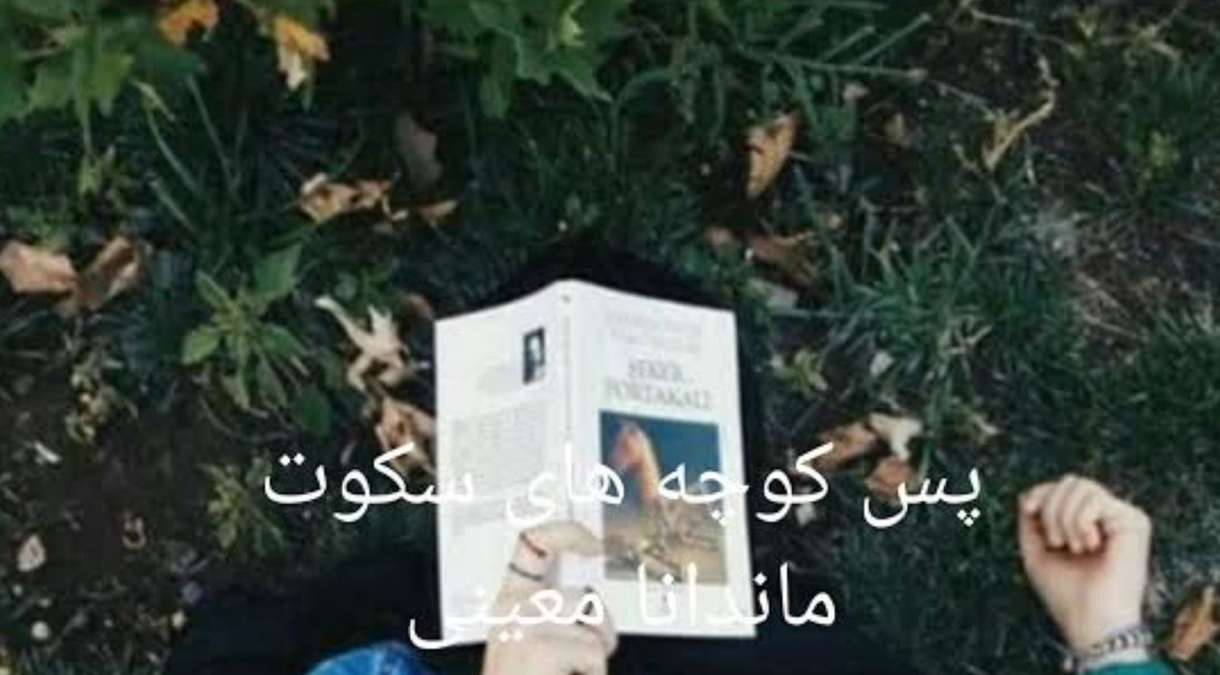 رمان پس کوچه های خلوت اثر ماندانا معینی