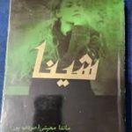 خلاصه رمان شینا
