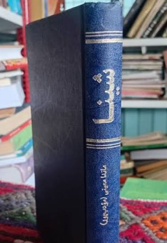 رمان شینا