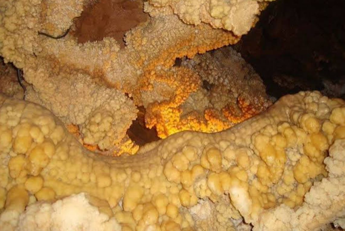 طبیعت غار علیصدر
