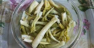 ترشی بیلهر