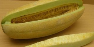 تعبیر خواب خربزه